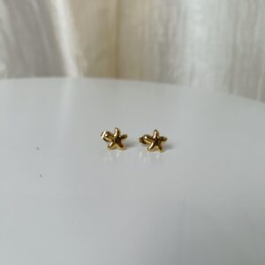 Star Stud Earring