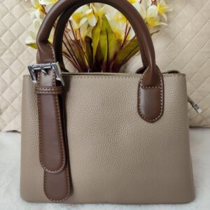 Dual Handbag